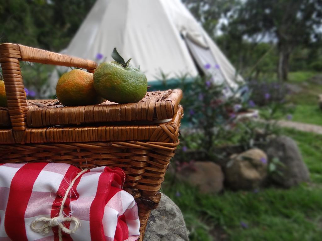Glamping El Establo 2*