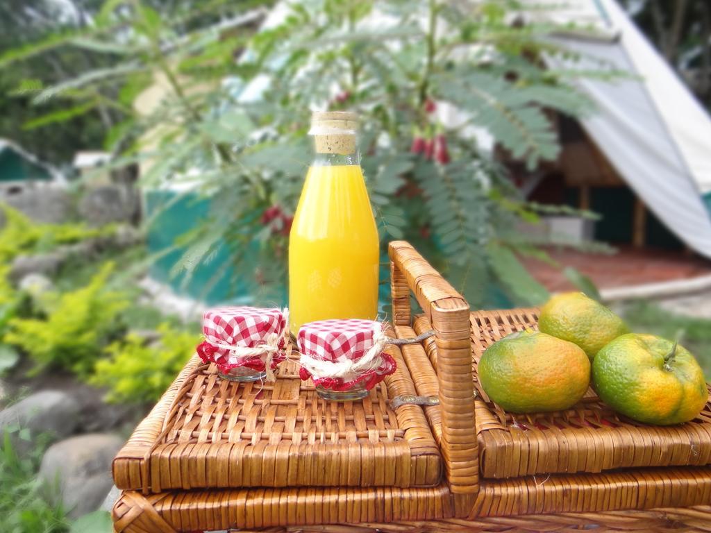 Glamping El Establo San Francisco (Cundinamarca)